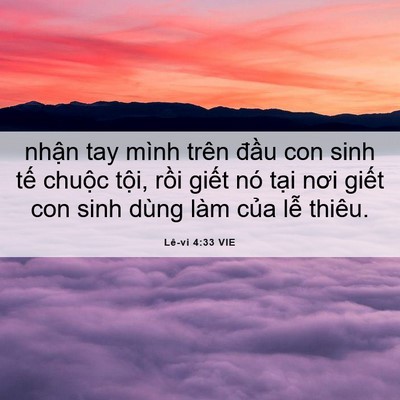 Picture 06 - Lê-vi 4:33 VIE - nhận tay mình trên đầu con sinh tế - Bible Verse Picture