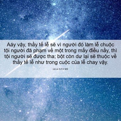 Picture 06 - Lê-vi 5:13 VIE - Aáy vậy, thầy tế lễ sẽ vì người - Bible Verse Picture