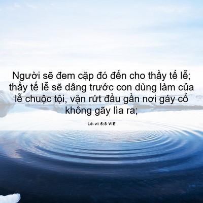 Picture 06 - Lê-vi 5:8 VIE - Người sẽ đem cặp đó đến cho thầy - Bible Verse Picture