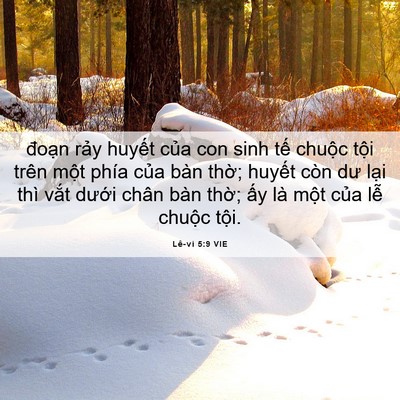 Picture 06 - Lê-vi 5:9 VIE - đoạn rảy huyết của con sinh tế chuộc - Bible Verse Picture
