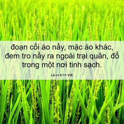 Picture 06 - Lê-vi 6:11 VIE - đoạn cổi áo nầy, mặc áo khác, đem - Bible Verse Picture