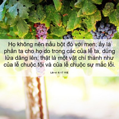 Picture 06 - Lê-vi 6:17 VIE - Họ không nên nấu bột đó với men; ấy - Bible Verse Picture