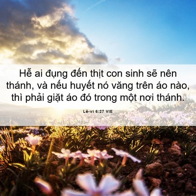 Picture 06 - Lê-vi 6:27 VIE - Hễ ai đụng đến thịt con sinh sẽ nên - Bible Verse Picture