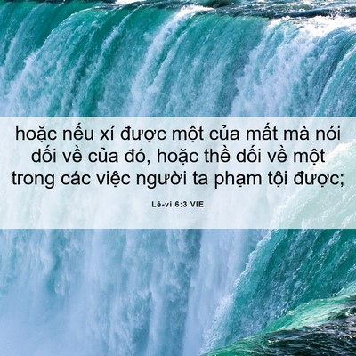 Picture 06 - Lê-vi 6:3 VIE - hoặc nếu xí được một của mất mà - Bible Verse Picture