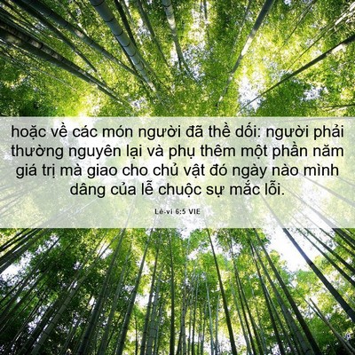 Picture 06 - Lê-vi 6:5 VIE - hoặc về các món người đã thề dối: - Bible Verse Picture