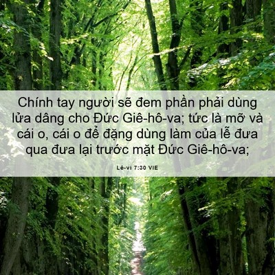 Picture 06 - Lê-vi 7:30 VIE - Chính tay người sẽ đem phần phải dùng - Bible Verse Picture