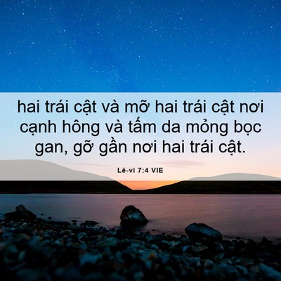Picture 06 - Lê-vi 7:4 VIE - hai trái cật và mỡ hai trái cật nơi - Bible Verse Picture