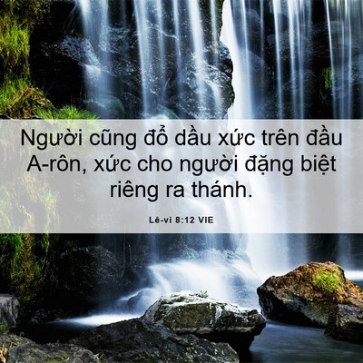 Picture 06 - Lê-vi 8:12 VIE - Người cũng đổ dầu xức trên đầu - Bible Verse Picture