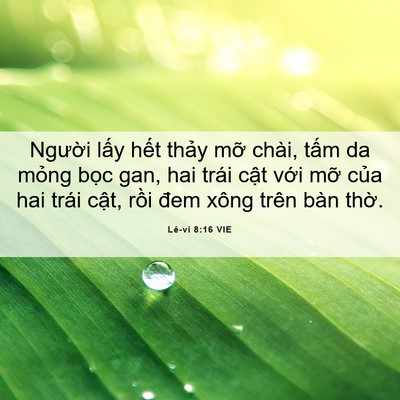 Picture 06 - Lê-vi 8:16 VIE - Người lấy hết thảy mỡ chài, tấm da - Bible Verse Picture