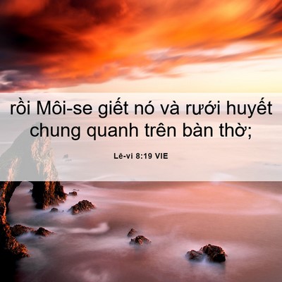 Picture 06 - Lê-vi 8:19 VIE - rồi Môi-se giết nó và rưới huyết - Bible Verse Picture