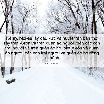 Picture 06 - Lê-vi 8:30 VIE - Kế ấy, Môi-se lấy dầu xức và huyết - Bible Verse Picture