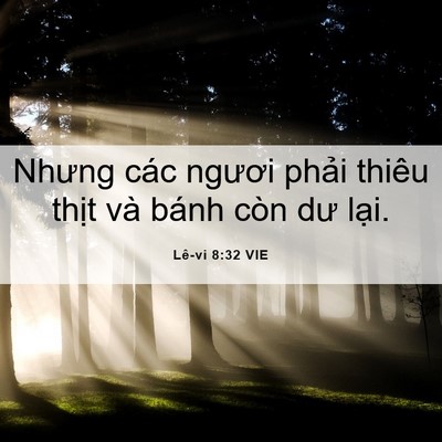 Picture 06 - Lê-vi 8:32 VIE - Nhưng các ngươi phải thiêu thịt và - Bible Verse Picture