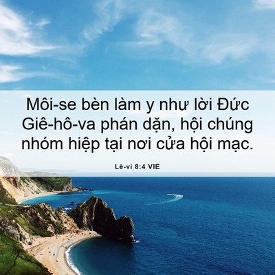 Picture 06 - Lê-vi 8:4 VIE - Môi-se bèn làm y như lời Đức Giê-hô-va - Bible Verse Picture