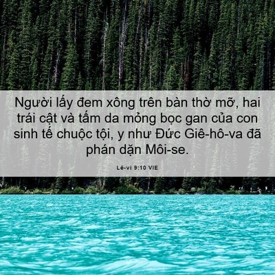 Picture 06 - Lê-vi 9:10 VIE - Người lấy đem xông trên bàn thờ mỡ, - Bible Verse Picture