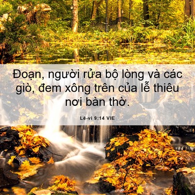Picture 06 - Lê-vi 9:14 VIE - Đoạn, người rửa bộ lòng và các giò, - Bible Verse Picture