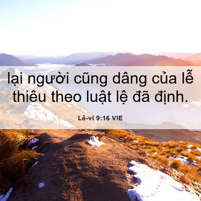 Picture 06 - Lê-vi 9:16 VIE - lại người cũng dâng của lễ thiêu theo - Bible Verse Picture