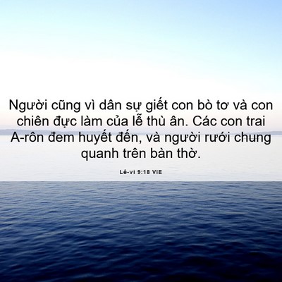 Picture 06 - Lê-vi 9:18 VIE - Người cũng vì dân sự giết con bò tơ - Bible Verse Picture