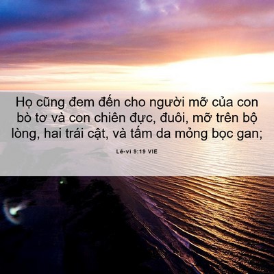 Picture 06 - Lê-vi 9:19 VIE - Họ cũng đem đến cho người mỡ của - Bible Verse Picture
