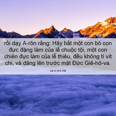 Picture 06 - Lê-vi 9:2 VIE - rồi dạy A-rôn rằng: Hãy bắt một con - Bible Verse Picture