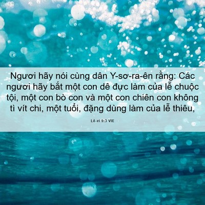 Picture 06 - Lê-vi 9:3 VIE - Ngươi hãy nói cùng dân Y-sơ-ra-ên rằng: - Bible Verse Picture