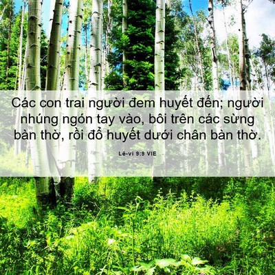 Picture 06 - Lê-vi 9:9 VIE - Các con trai người đem huyết đến; - Bible Verse Picture