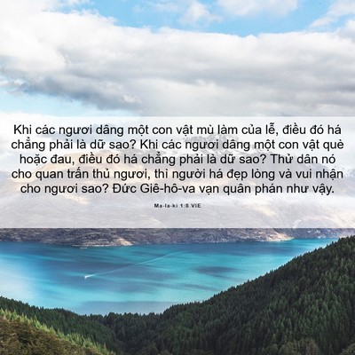 Picture 06 - Ma-la-ki 1:8 VIE - Khi các ngươi dâng một con vật mù làm - Bible Verse Picture