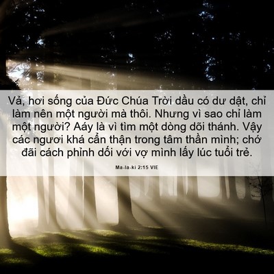 Picture 06 - Ma-la-ki 2:15 VIE - Vả, hơi sống của Đức Chúa Trời dầu - Bible Verse Picture