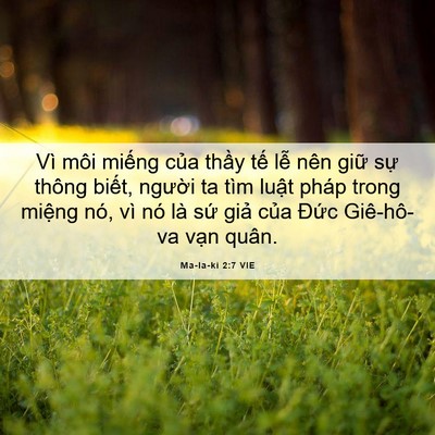 Picture 06 - Ma-la-ki 2:7 VIE - Vì môi miếng của thầy tế lễ nên - Bible Verse Picture