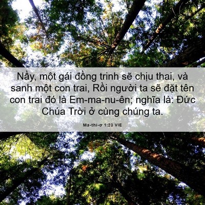 Picture 06 - Ma-thi-ơ 1:23 VIE - Nầy, một gái đồng trinh sẽ chịu thai, - Bible Verse Picture