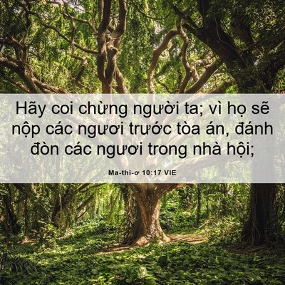 Picture 06 - Ma-thi-ơ 10:17 VIE - Hãy coi chừng người ta; vì họ sẽ nộp - Bible Verse Picture