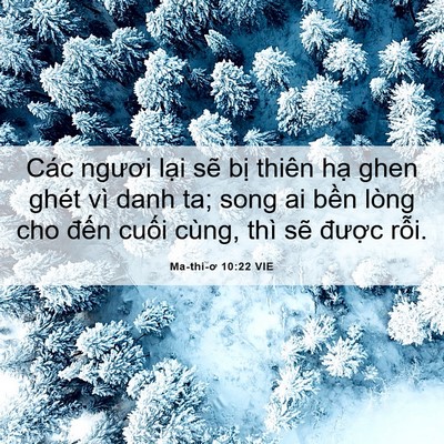 Picture 06 - Ma-thi-ơ 10:22 VIE - Các ngươi lại sẽ bị thiên hạ ghen - Bible Verse Picture