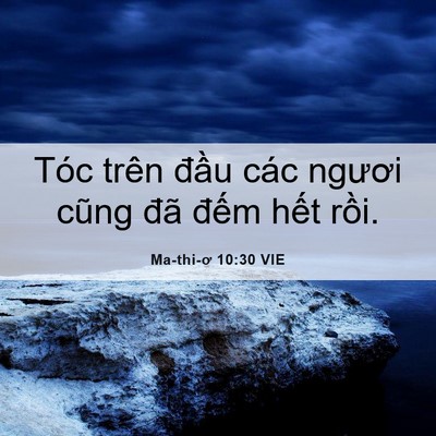 Picture 06 - Ma-thi-ơ 10:30 VIE - Tóc trên đầu các ngươi cũng đã đếm - Bible Verse Picture