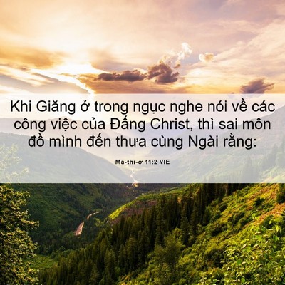 Picture 06 - Ma-thi-ơ 11:2 VIE - Khi Giăng ở trong ngục nghe nói về các - Bible Verse Picture