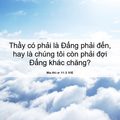 Picture 06 - Ma-thi-ơ 11:3 VIE - Thầy có phải là Đấng phải đến, hay - Bible Verse Picture