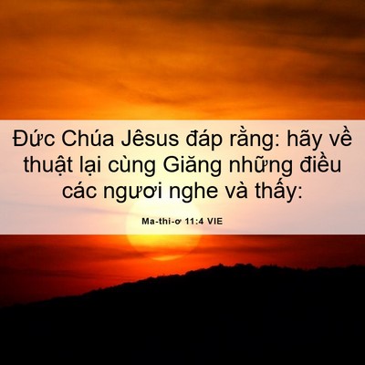 Picture 06 - Ma-thi-ơ 11:4 VIE - Đức Chúa Jêsus đáp rằng: hãy về - Bible Verse Picture