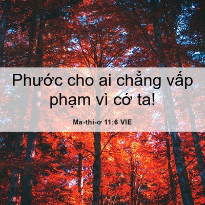 Picture 06 - Ma-thi-ơ 11:6 VIE - Phước cho ai chẳng vấp phạm vì cớ - Bible Verse Picture