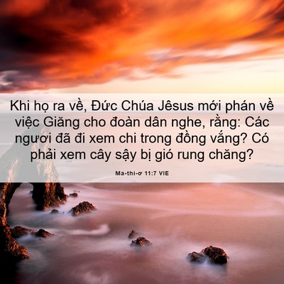 Picture 06 - Ma-thi-ơ 11:7 VIE - Khi họ ra về, Đức Chúa Jêsus mới phán - Bible Verse Picture