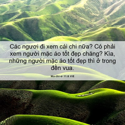 Picture 06 - Ma-thi-ơ 11:8 VIE - Các ngươi đi xem cái chi nữa? Có phải - Bible Verse Picture