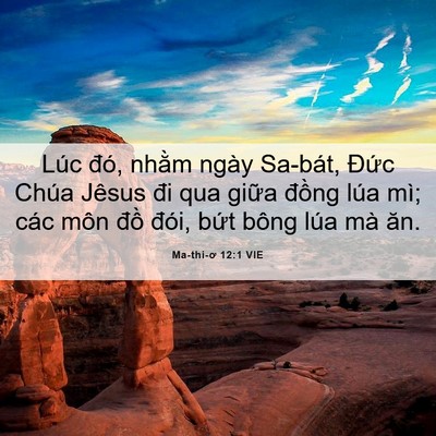 Picture 06 - Ma-thi-ơ 12:1 VIE - Lúc đó, nhằm ngày Sa-bát, Đức Chúa - Bible Verse Picture