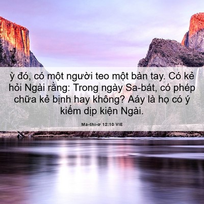 Picture 06 - Ma-thi-ơ 12:10 VIE - ỳ đó, có một người teo một bàn tay. - Bible Verse Picture