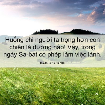 Picture 06 - Ma-thi-ơ 12:12 VIE - Huống chi người ta trọng hơn con chiên - Bible Verse Picture