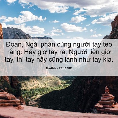 Picture 06 - Ma-thi-ơ 12:13 VIE - Đoạn, Ngài phán cùng người tay teo - Bible Verse Picture