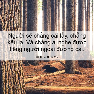 Picture 06 - Ma-thi-ơ 12:19 VIE - Người sẽ chẳng cãi lẫy, chẳng kêu - Bible Verse Picture