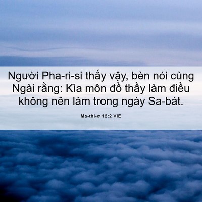 Picture 06 - Ma-thi-ơ 12:2 VIE - Người Pha-ri-si thấy vậy, bèn nói cùng - Bible Verse Picture