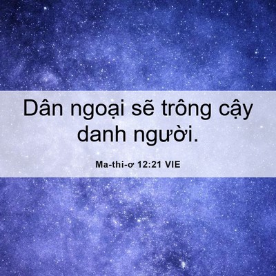 Picture 06 - Ma-thi-ơ 12:21 VIE - Dân ngoại sẽ trông cậy danh - Bible Verse Picture