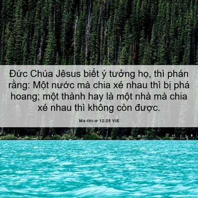 Picture 06 - Ma-thi-ơ 12:25 VIE - Đức Chúa Jêsus biết ý tưởng họ, thì - Bible Verse Picture