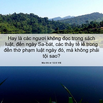 Picture 06 - Ma-thi-ơ 12:5 VIE - Hay là các ngươi không đọc trong sách - Bible Verse Picture