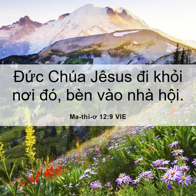 Picture 06 - Ma-thi-ơ 12:9 VIE - Đức Chúa Jêsus đi khỏi nơi đó, bèn - Bible Verse Picture