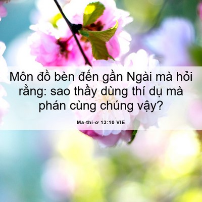 Picture 06 - Ma-thi-ơ 13:10 VIE - Môn đồ bèn đến gần Ngài mà hỏi - Bible Verse Picture