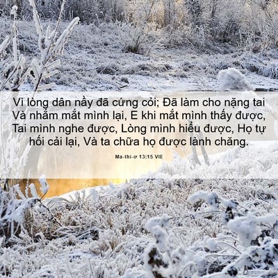 Picture 06 - Ma-thi-ơ 13:15 VIE - Vì lòng dân nầy đã cứng cỏi; Đã làm - Bible Verse Picture